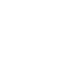 lower_icon_form